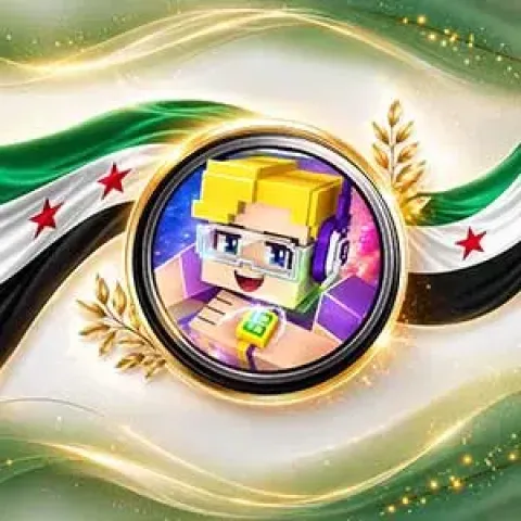شحن Blockman Go